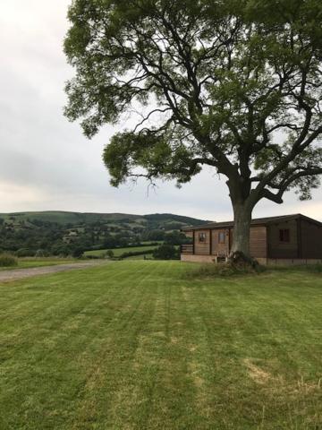 Redwood Lodge Лудлоу Экстерьер фото